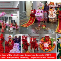 CNY 2019 Office Celebration